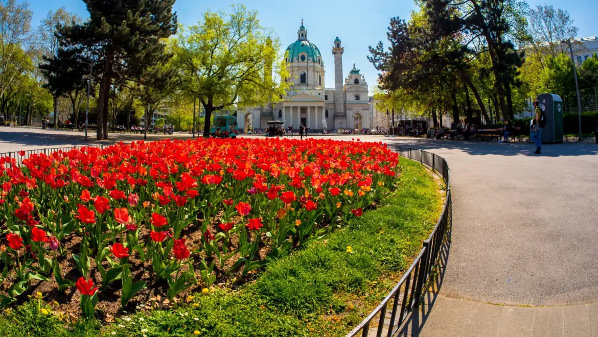 Blooming flowers at Karlsplatz in Vienna, Austria, with Karlskirche rising in the background
