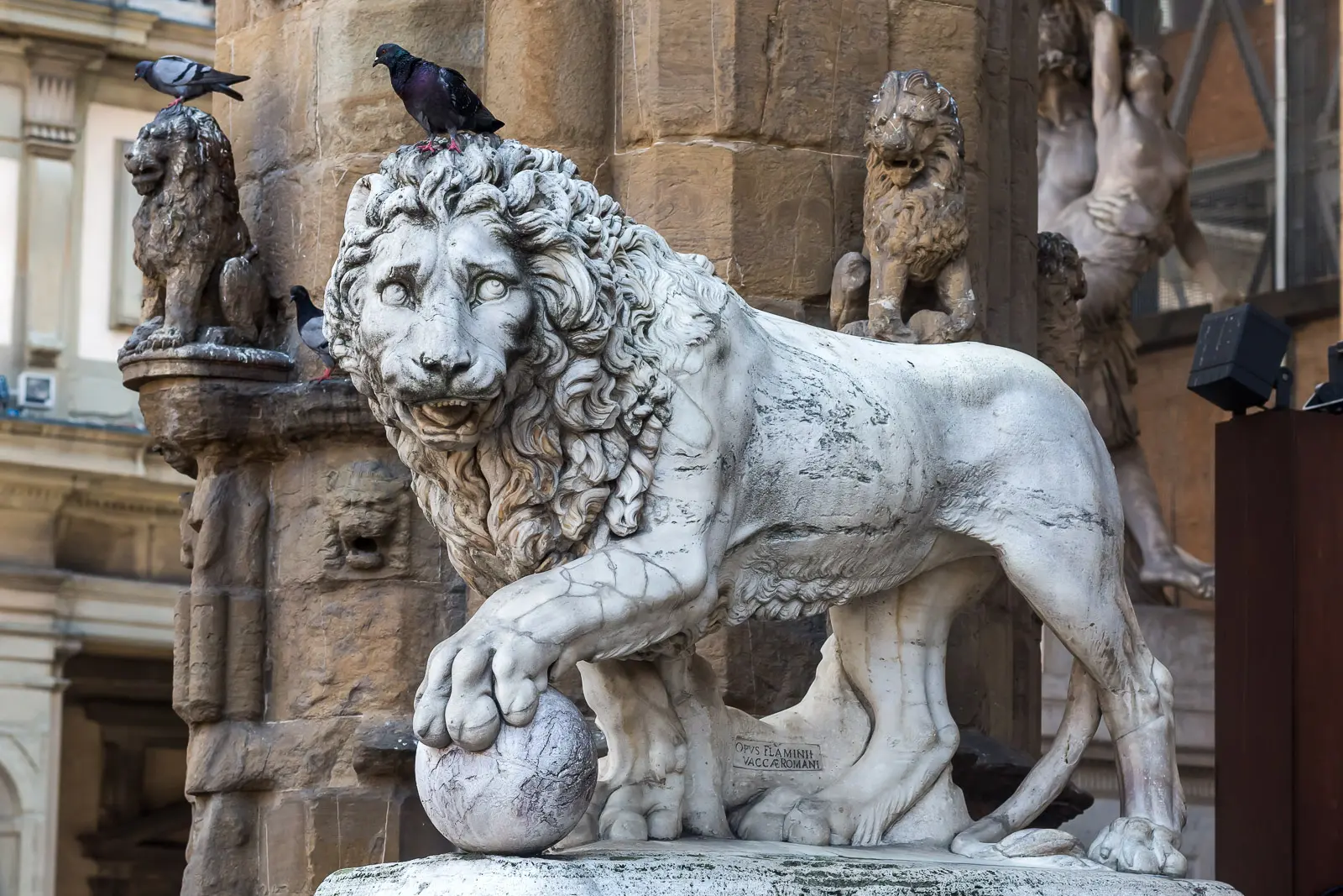 Close-up of a marble Medici lion sculpture at the entrance of the Loggia dei Lanzi in Florence with a pigeon perched on its mane