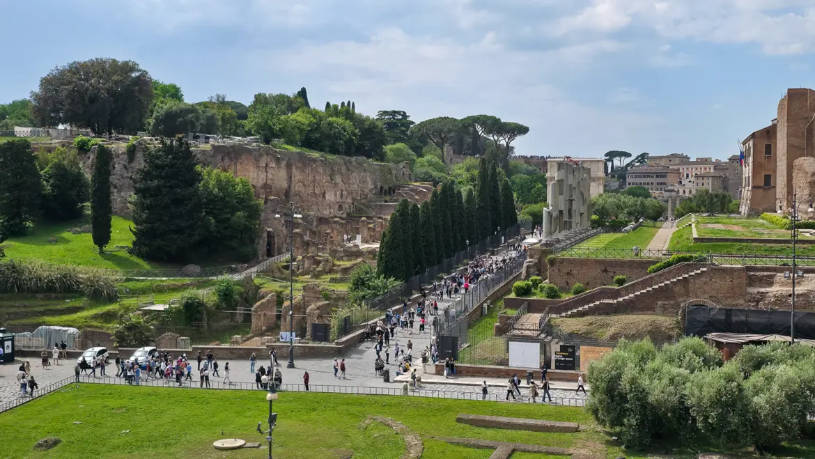 View of Palatine Hill from the Colosseum in Rome showing ancient ruins green trees and the Roman skyline