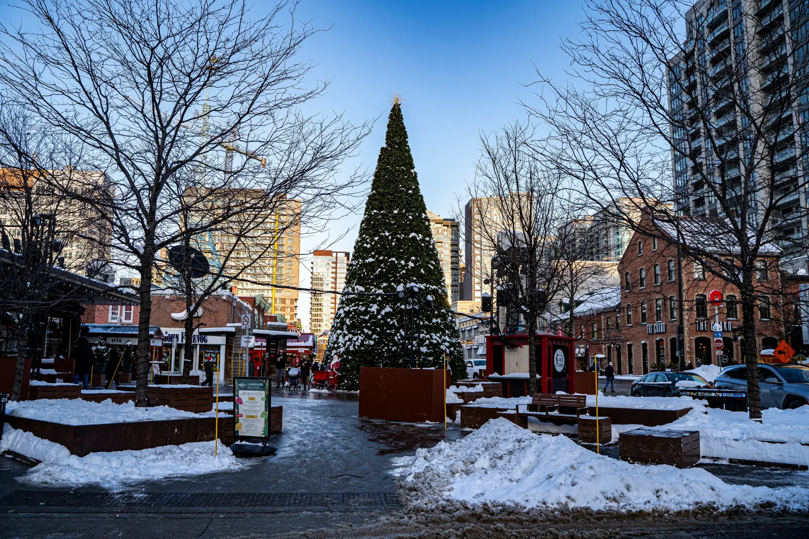 The ByWard Market in winter with a large snow-dusted Christmas tree, heritage brick buildings, and snowy streets in Ottawa