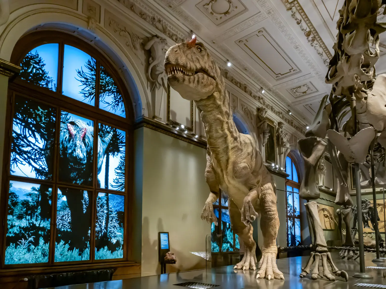 Towering dinosaur skeletons on display at the Naturhistorisches Museum Wien, one of the museum's most iconic exhibits