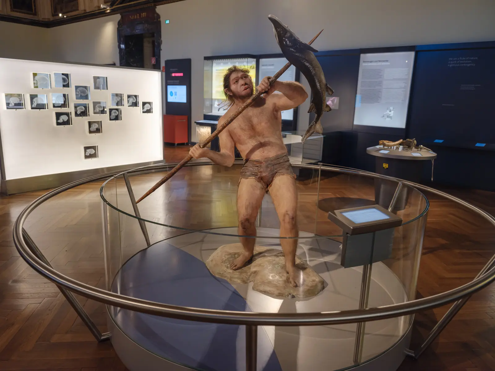 A life-sized reconstruction of an early human holding a spear and fish at the Naturhistorisches Museum Wien