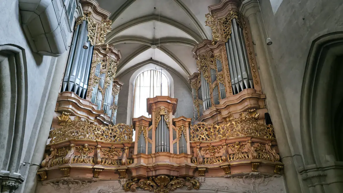 The grand Baroque pipe organ inside St. Michael’s Church in Vienna, with gilded ornamental casework and organ pipes rising beneath Gothic vaulted ceilings