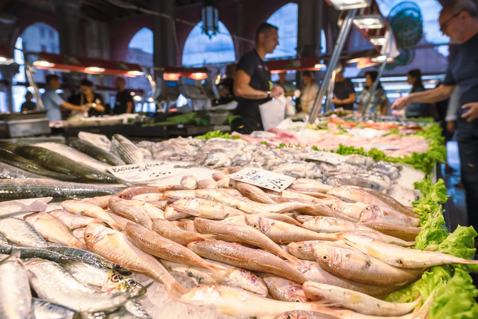 A vendor arranging seafood at the Pescheria di Rialto fish market in Venice