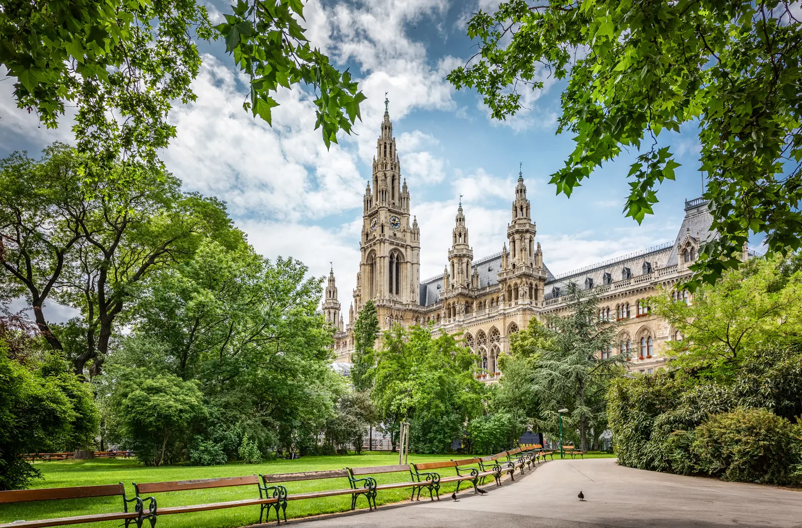 Vienna City Hall (Rathaus) rising above trees and greenery along the historic Ringstrasse boulevard