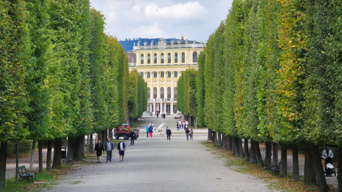 Shaded tree-lined pathway in Schönbrunn Gardens Vienna, with dappled light filtering through the canopy