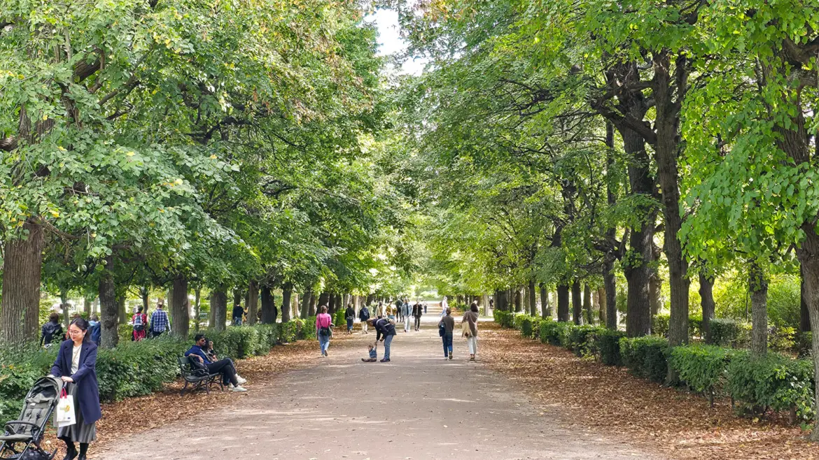 Wide gravel pathway lined with trees in the Schönbrunn Palace gardens in Vienna, guiding visitors through the elegant Baroque landscape
