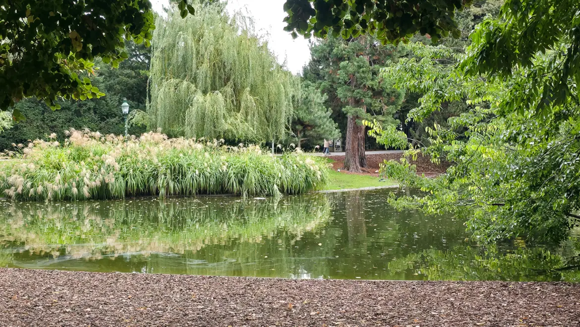 A peaceful pond in Vienna’s Stadtpark surrounded by greenery and walking paths, a quiet retreat in the heart of the city