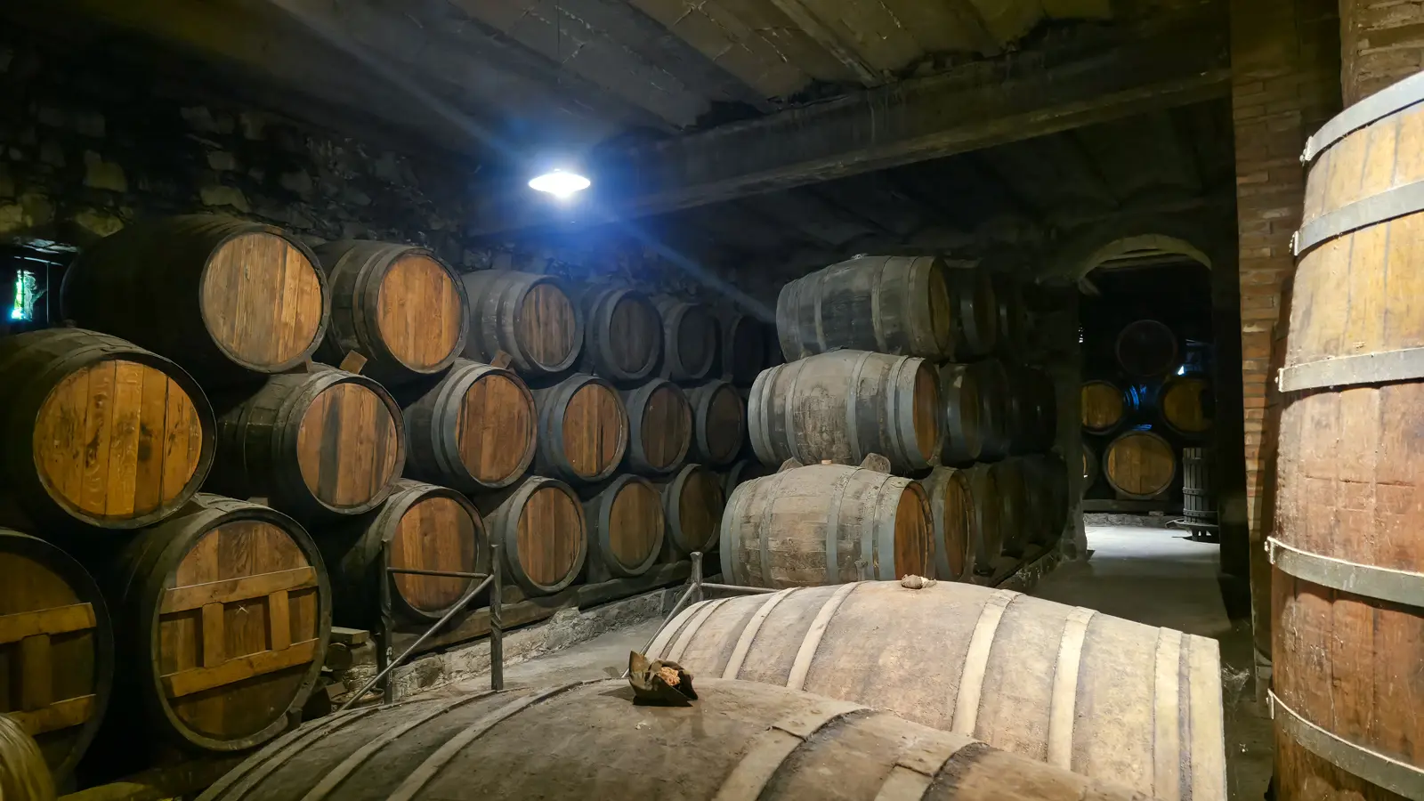 The softly lit aging room at Abadal Winery in the Pla de Bages, with rows of French and American oak barrels maturing wines beneath a vaulted ceiling in cool, patient darkness
