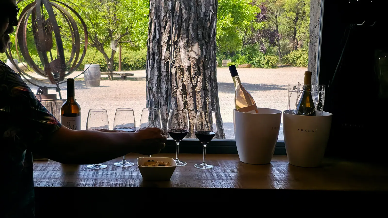 Wine tasting experience at Abadal Winery with multiple wines lined up for guided tasting, showcasing the signature Picapoll, Mandó, and estate blends in the warm afternoon light
