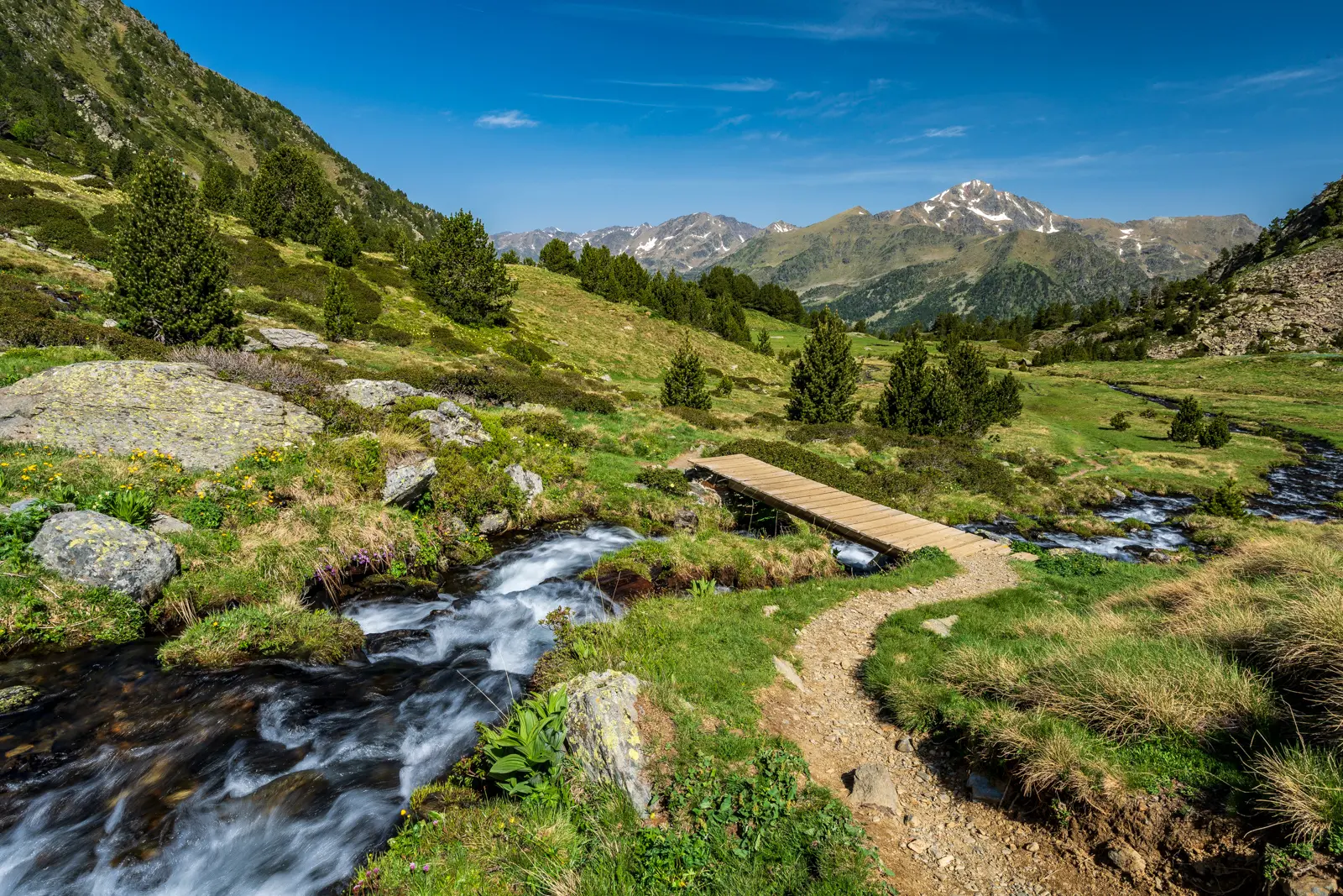 The stunning Vall d'Incles valley in the Principality of Andorra, a lush alpine landscape surrounded by Pyrenean peaks, wildflower meadows, and untouched mountain serenity