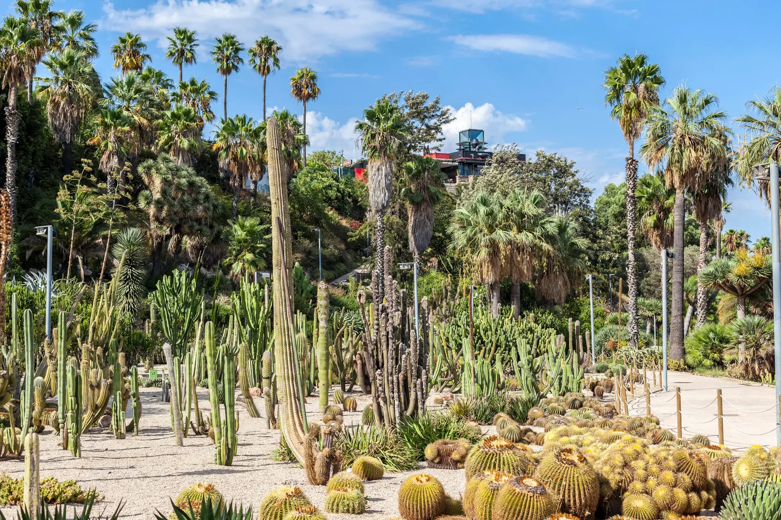 Jardins de Mossèn Costa i Llobera on Montjuïc's southern slopes in Barcelona — one of Europe's largest cactus gardens, with terraced paths of succulents and desert plants overlooking the Mediterranean