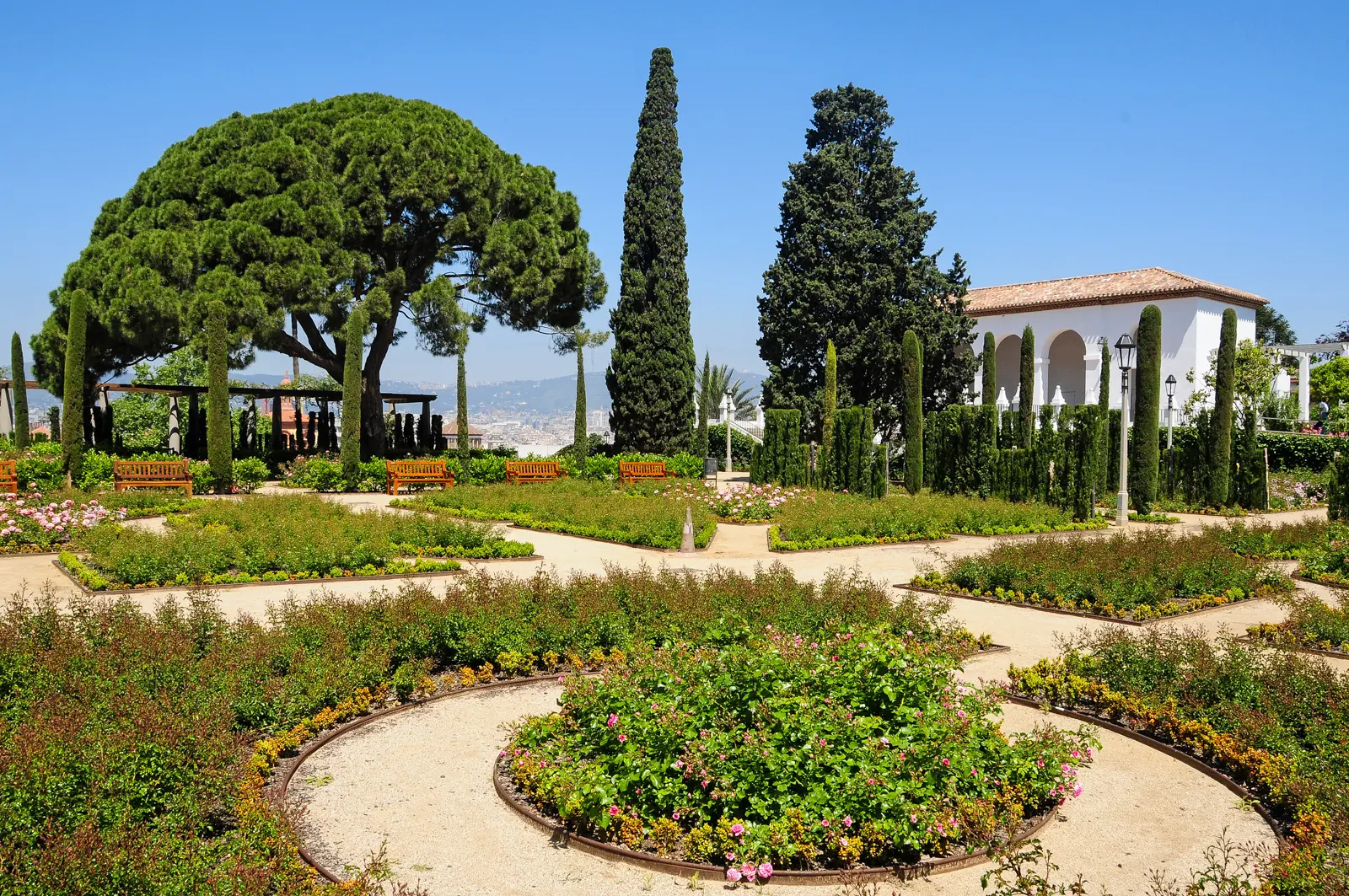 Jardins del Teatre Grec on Montjuïc's hillside in Barcelona, with roses, lavender, and cypress trees surrounding the 1929 Greek-style amphitheater — one of the most romantic gardens in the city