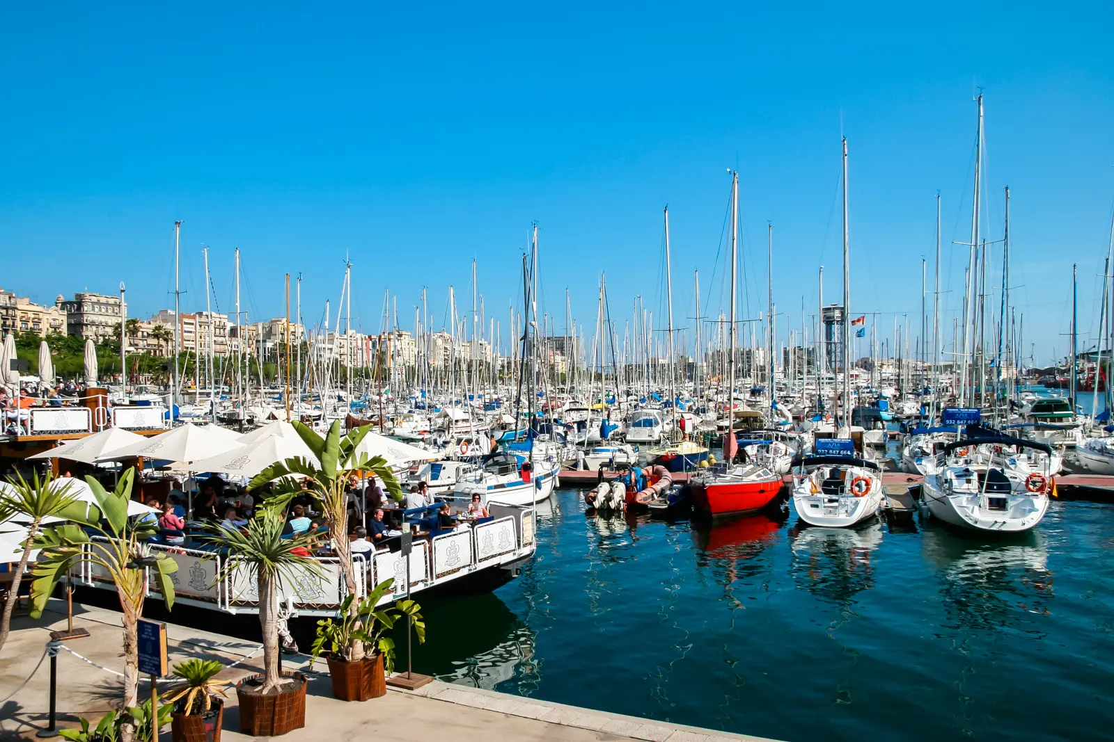Floating restaurant terrace at Marina Port Vell Barcelona surrounded by sailboat masts under bright midday sky