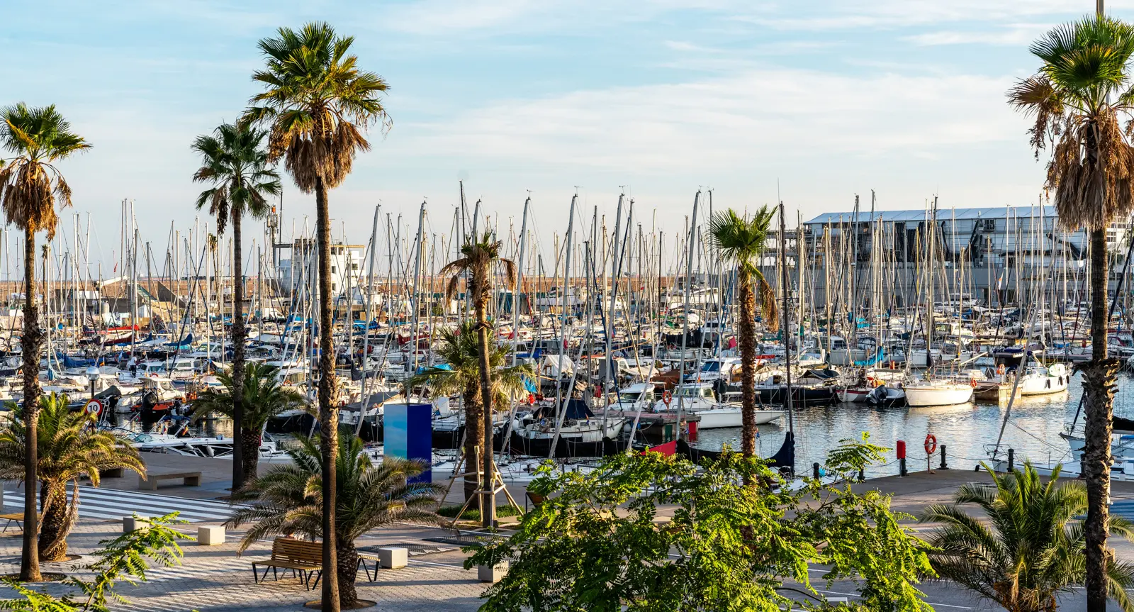 Public promenade at Marina Port Vell Barcelona winding beneath palm trees alongside dozens of recreational sailboats moored in the marina
