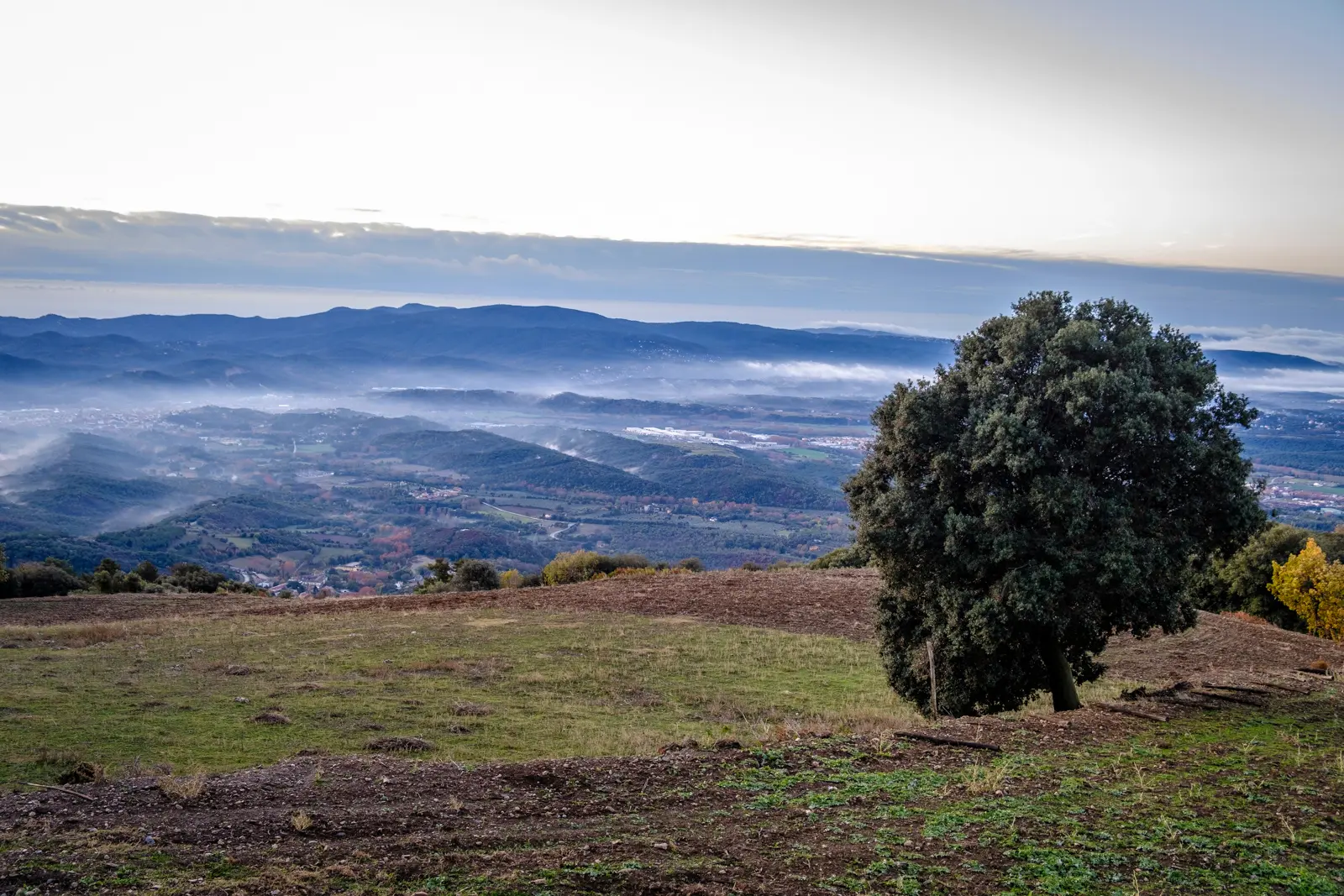 Ancient beech and oak forests glowing golden in Montseny Natural Park, a UNESCO-designated Biosphere Reserve just over an hour from Barcelona offering peaceful mountain trails