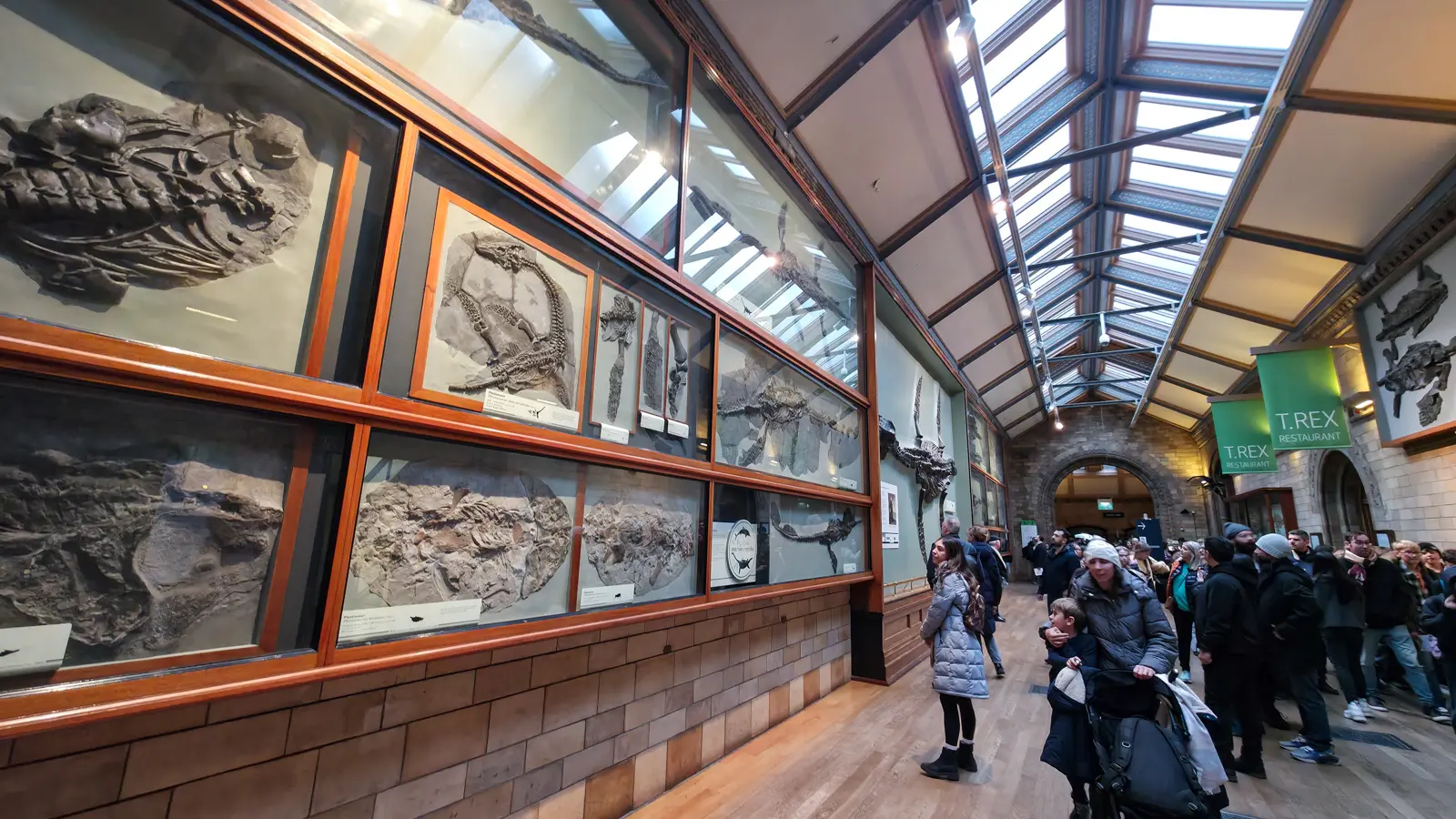 The Marine Reptiles Gallery at the Natural History Museum, with rows of large fossilised ichthyosaur and plesiosaur skeletons mounted in original Victorian wooden display cases along the wall, visitors browsing the cases, and the green T.REX Restaurant sign visible at the far end