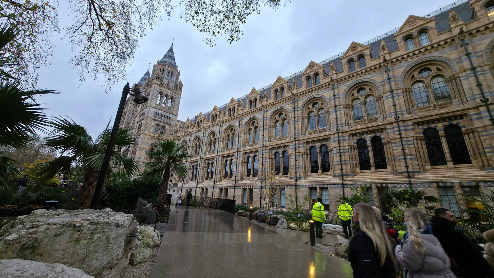 The side of the Natural History Museum in London viewed from the new Wildlife Garden, showing the banded blue-and-buff terracotta brickwork, gabled bays, and a tower silhouetted against a December overcast sky, with palm trees, rocks, and visitors in the foreground