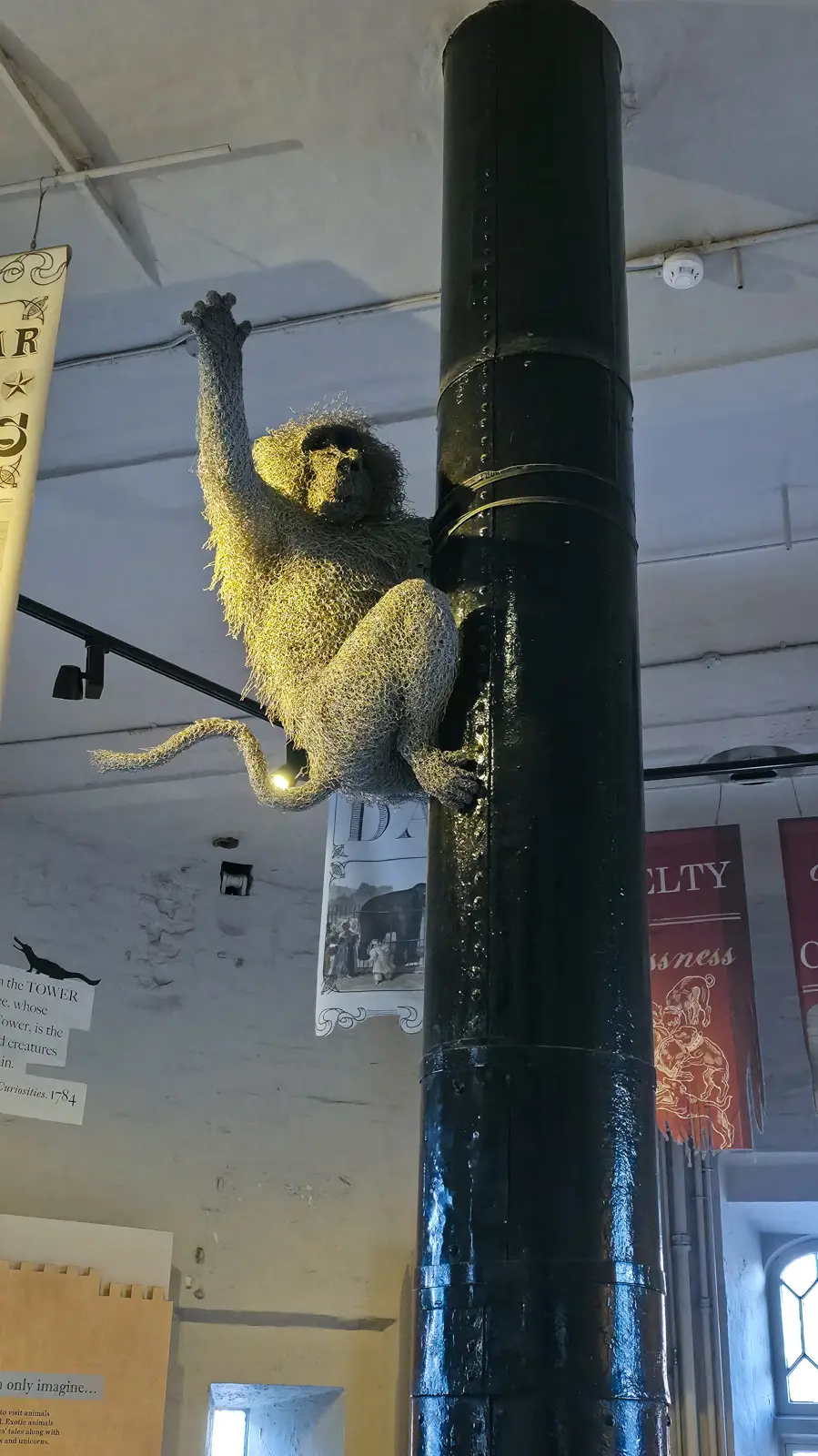 Baboons roamed the Tower freely throughout the menagerie's 600-year history. In 1833, a child was killed by their aggressive behaviour, an incident that contributed to the menagerie's closure two years later and the move to Regent's Park