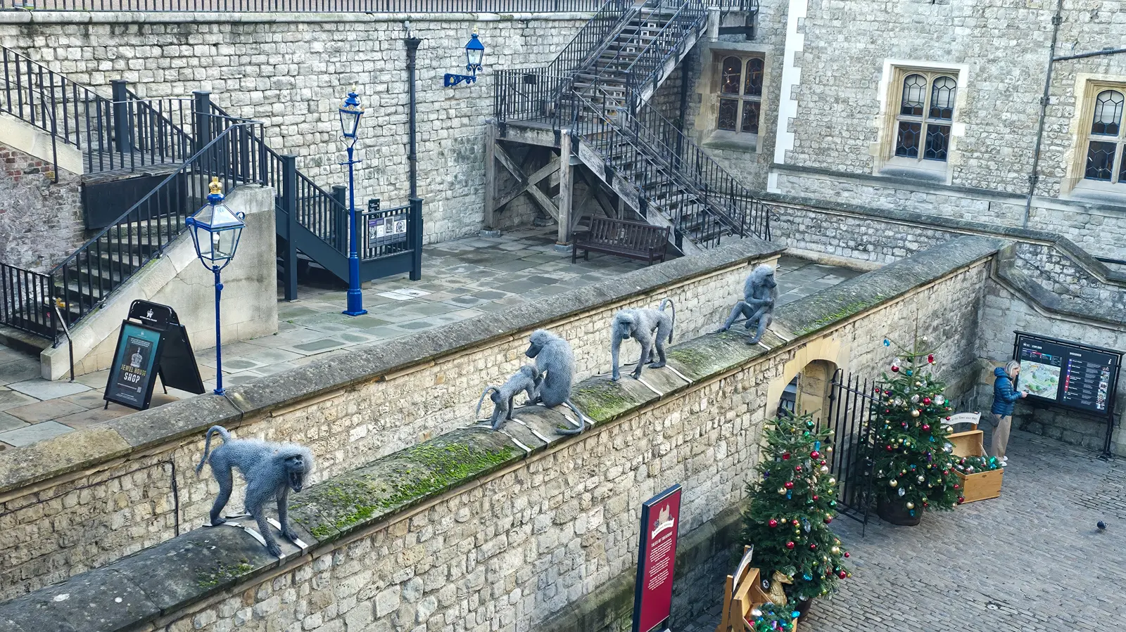 The four sculpted baboons are Hamadryas baboons, a species that featured throughout the menagerie's history alongside other apes and monkeys