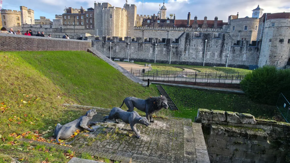 Three wire-mesh big cats at the Tower of London moat, near the site of the demolished Lion Tower. The trio sits beside the western moat near where the Lion Tower once stood. The Tower's outer curtain wall is visible behind, with the White Tower at the centre of the inner ward beyond it