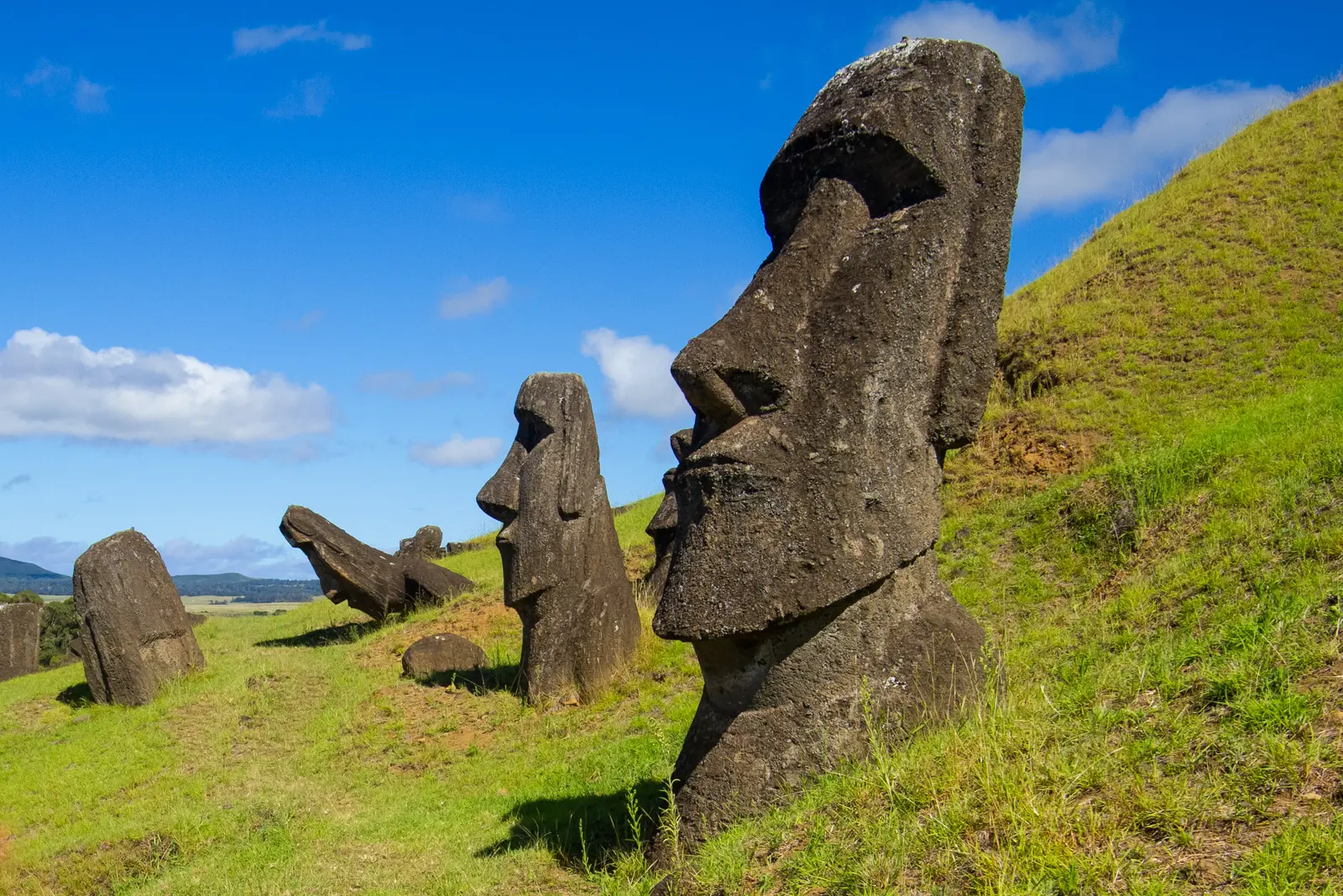 Moai half-buried on the slopes of the Rano Raraku quarry, Easter Island (Rapa Nui), where the island's moai were carved