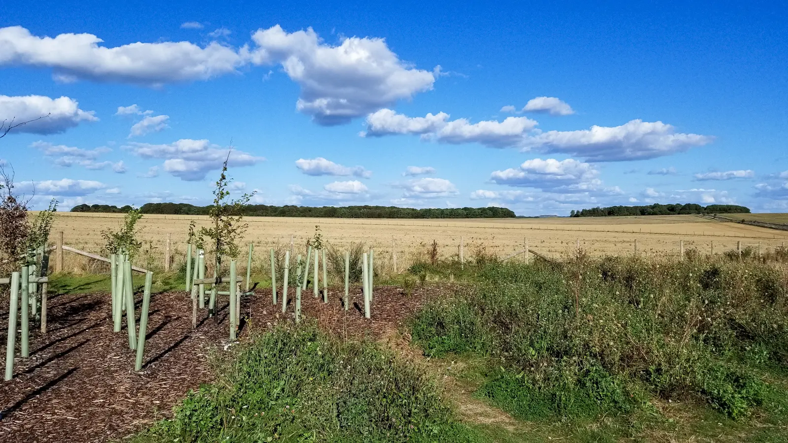 The farmland and downland around Stonehenge, Wiltshire, with young trees and a harvested field to the horizon