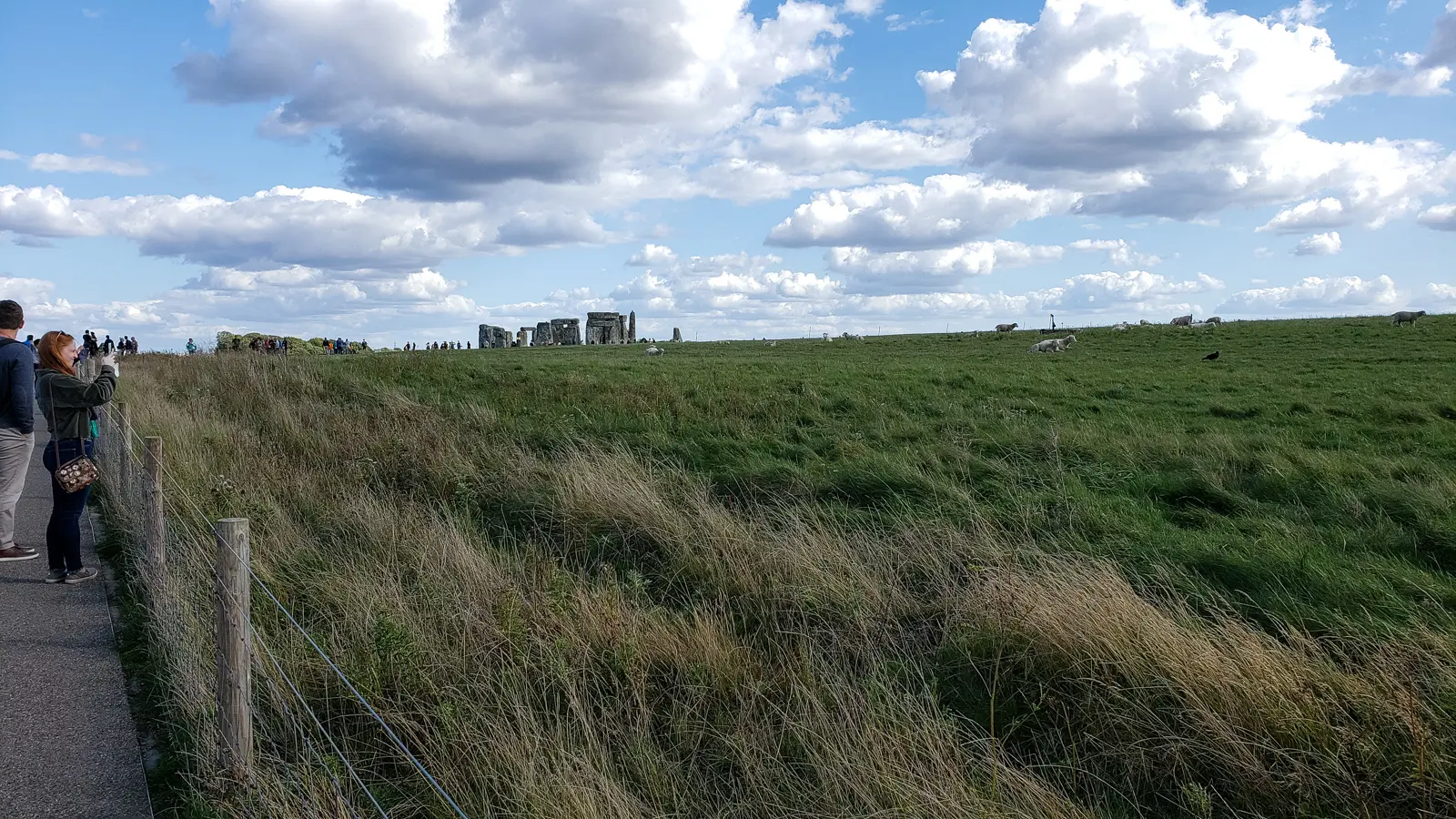 Visitors at the perimeter path watching Stonehenge across the field, Wiltshire, with sheep grazing the grass between
