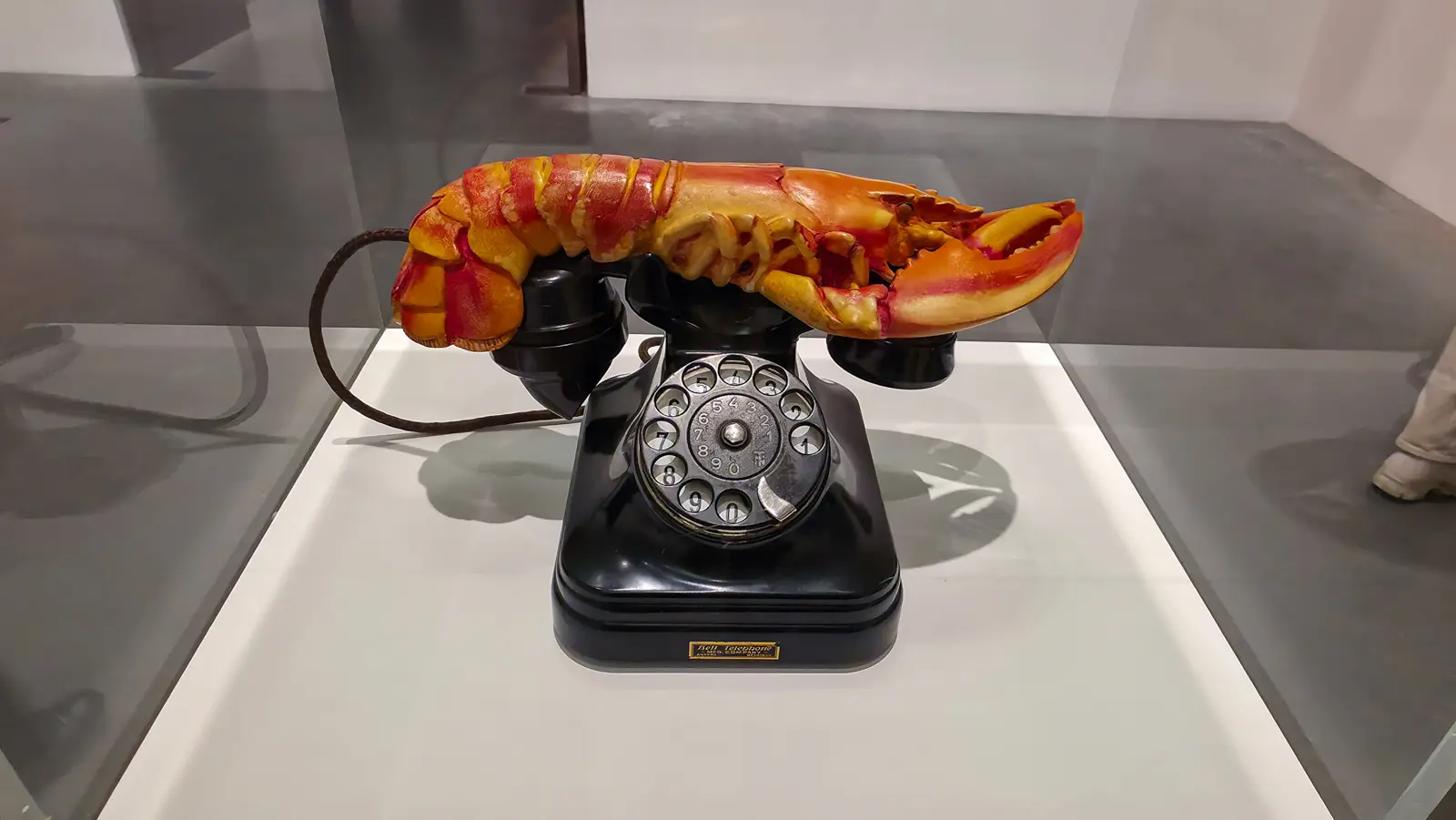 Salvador Dalí’s Lobster Telephone, a plaster lobster resting on the handset of a black rotary telephone, in a case at Tate Modern