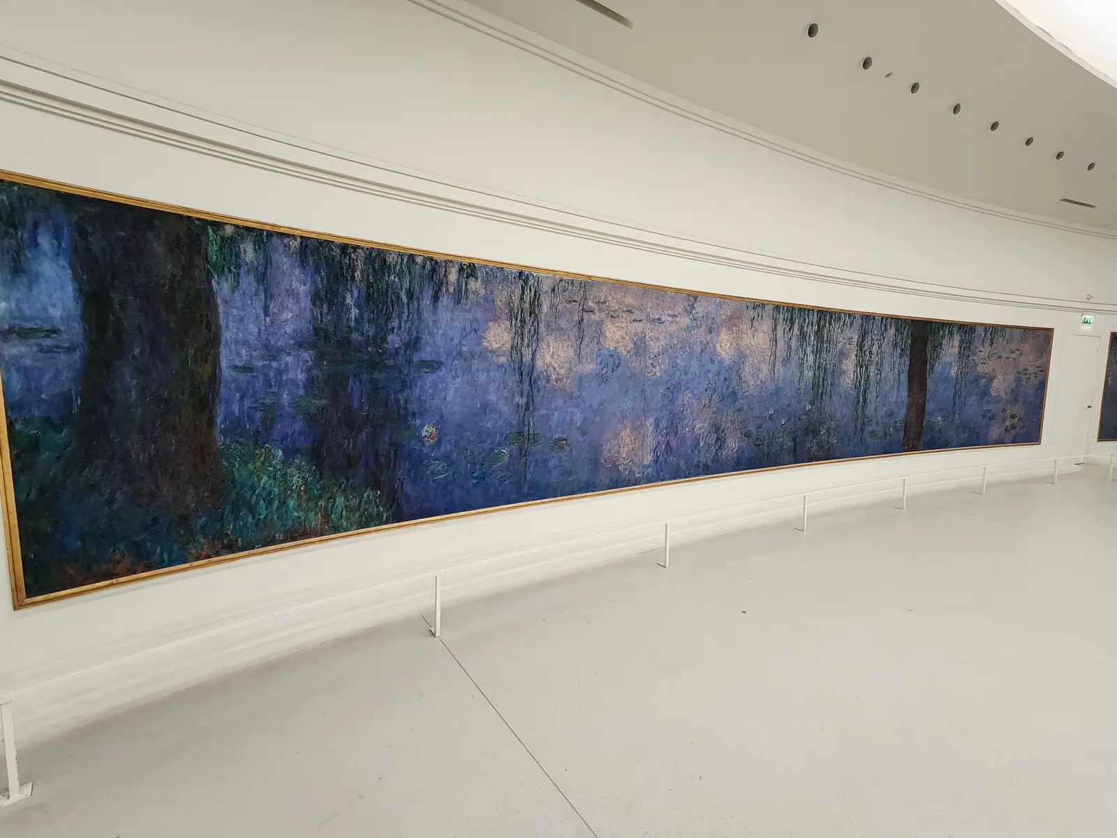 One of Monet's large curved Water Lilies panels running along the wall of an oval room at the Musée de l'Orangerie, Paris