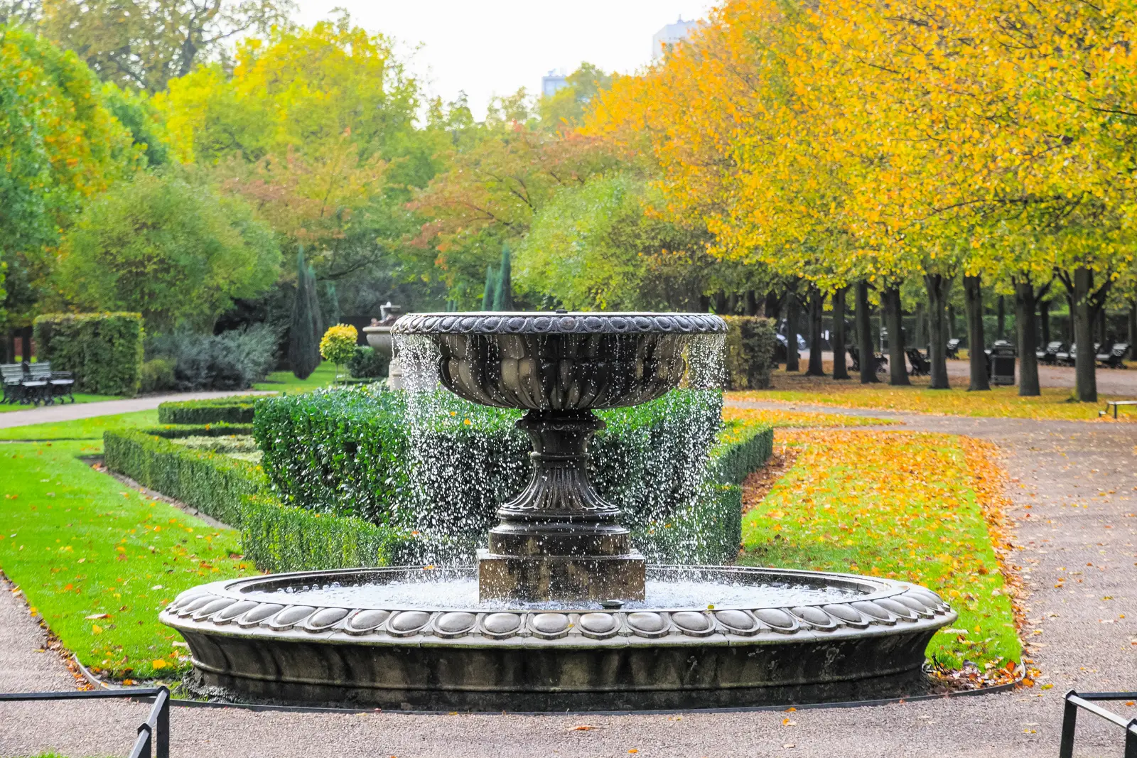 A single stone tazza fountain among low hedges in the Avenue Gardens, autumn leaves across the grass