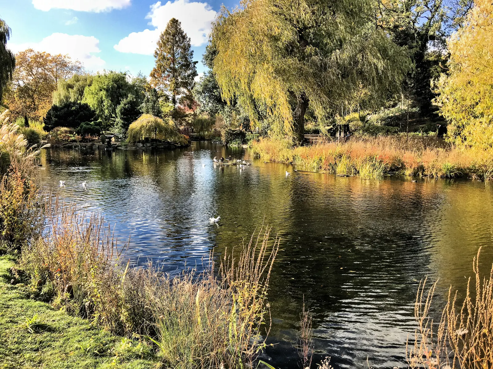 Regent's Park: From Nash's Terraces to the Boating Lake