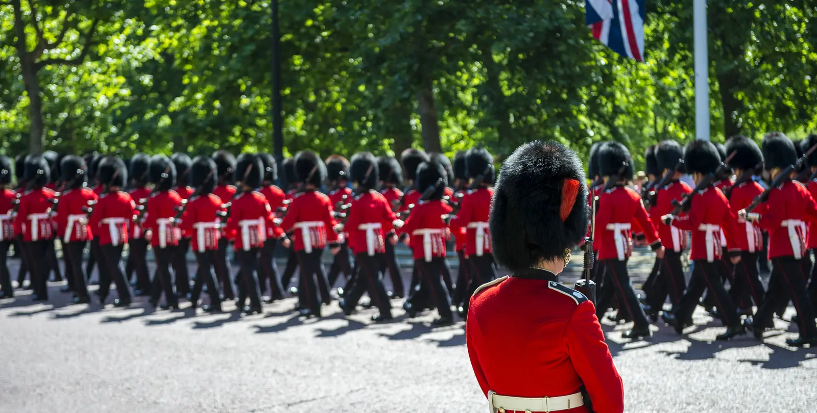 A Foot Guard in a scarlet tunic and a tall black bearskin cap with a red side plume, standing as his regiment marches past on the Mall, London.