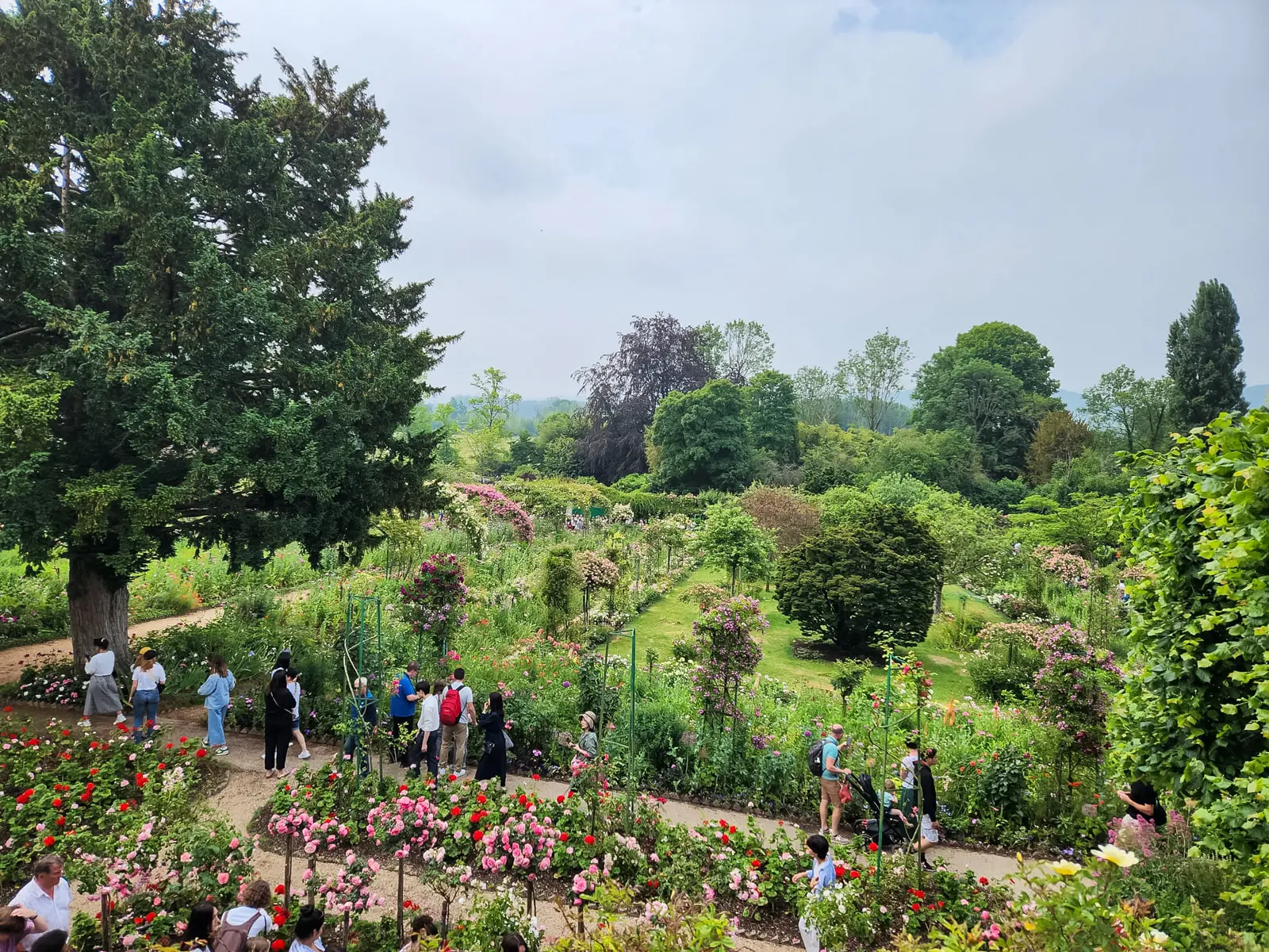 A high view over the Clos Normand at Giverny, with visitors on gravel paths between dense beds of roses and perennials