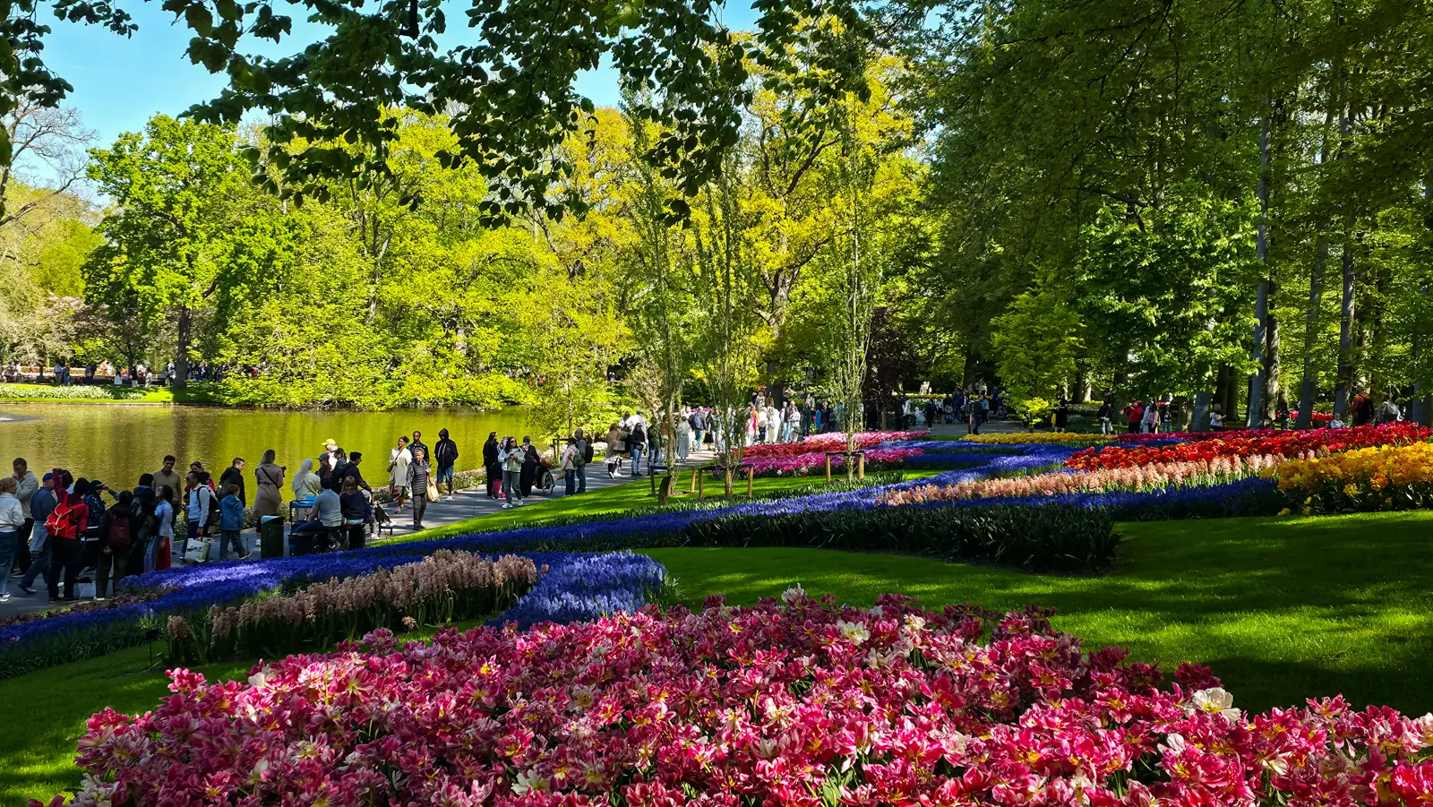 Ribbons of blue and pink flowers curving beside a lake path at Keukenhof, with crowds walking and red and yellow tulips behind