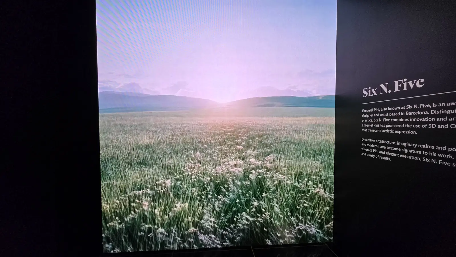 A Six N. Five digital landscape at Moco Museum Amsterdam, a flowering meadow at sunrise shown on a tall screen beside a wall panel