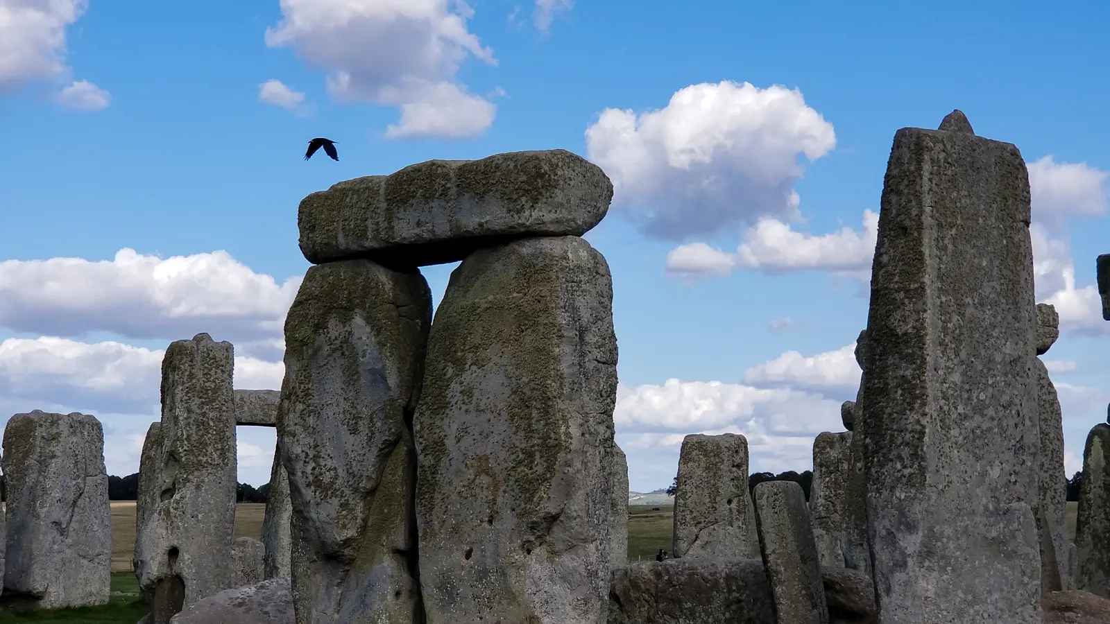 A trilithon at Stonehenge, two upright sarsens capped by a single lintel, with a crow passing overhead, on a day trip from London