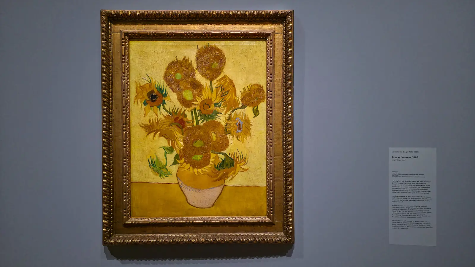 Van Gogh’s Sunflowers (1889) in a gold frame on a grey wall at the Van Gogh Museum in Amsterdam, signed Vincent on the vase