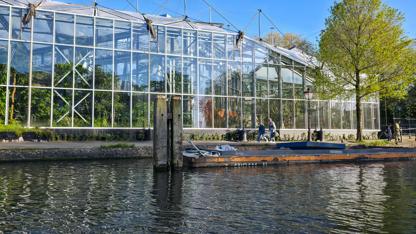 The glasshouse of the Hortus Botanicus in Amsterdam seen across the water, a wall of glass with palms and greenery visible inside