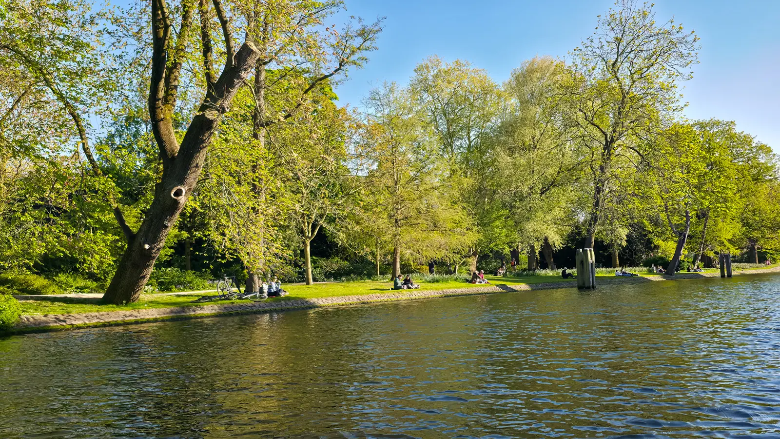 People sitting on the grass bank of Wertheimpark beside the Nieuwe Herengracht in Amsterdam on a spring evening, under mature trees