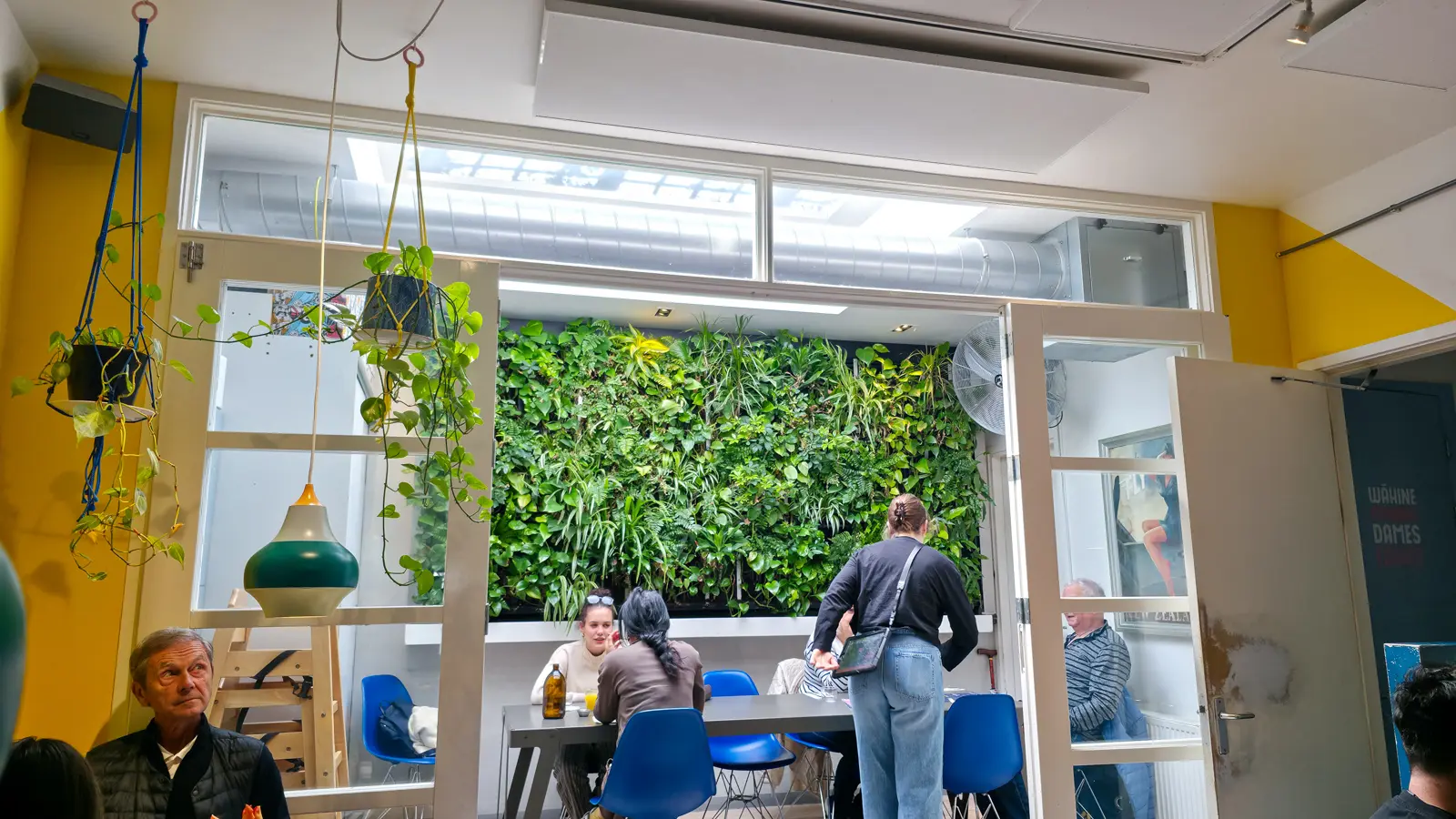 A living wall of ferns and trailing greenery above a communal table at Bakers & Roasters, lit from a skylight, with hanging pots on knotted cords along the yellow wall
