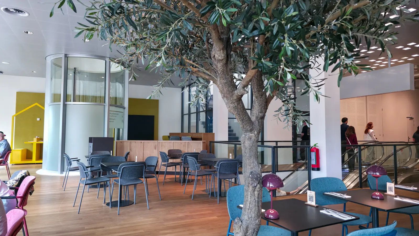 Seating at Bistro Vincent in the Van Gogh Museum, Amsterdam, around a large olive tree, with auditorium signage behind