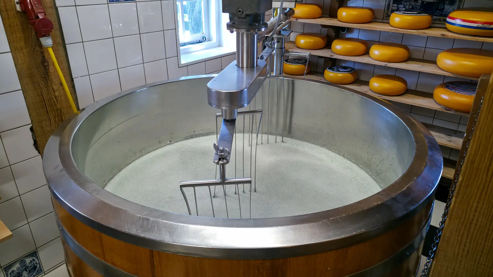 Wooden cheese vat bound in steel, holding set curd with a wire cutting harp resting in it, Catharina Hoeve