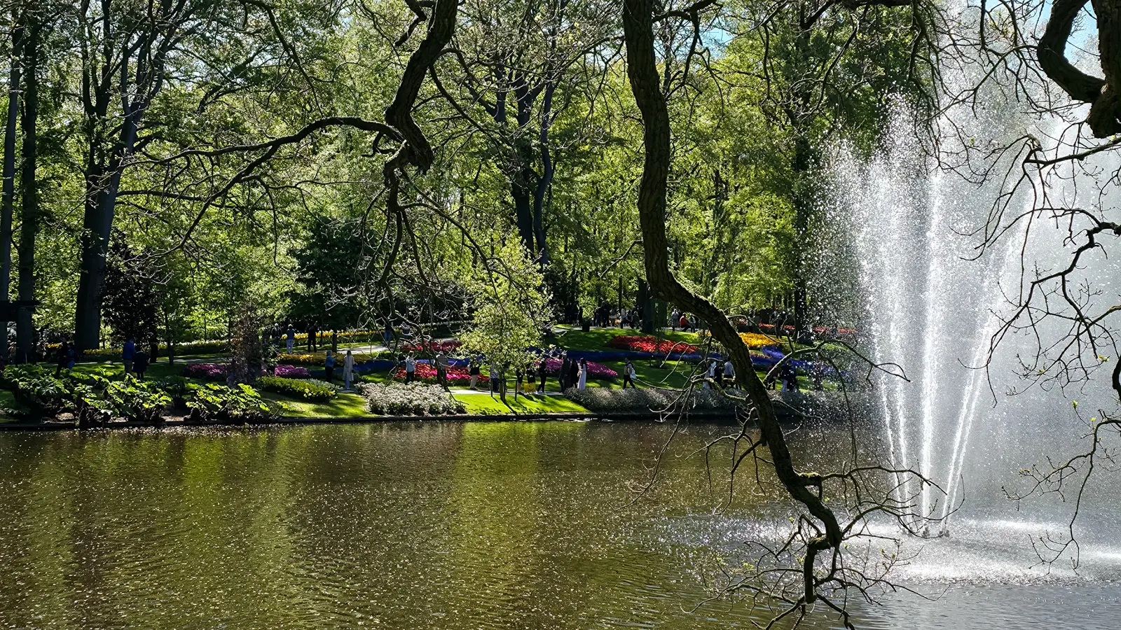 Fountain on the Keukenhof lake, Lisse, seen through the twisted bare branches of an overhanging tree, with flower beds on the far bank