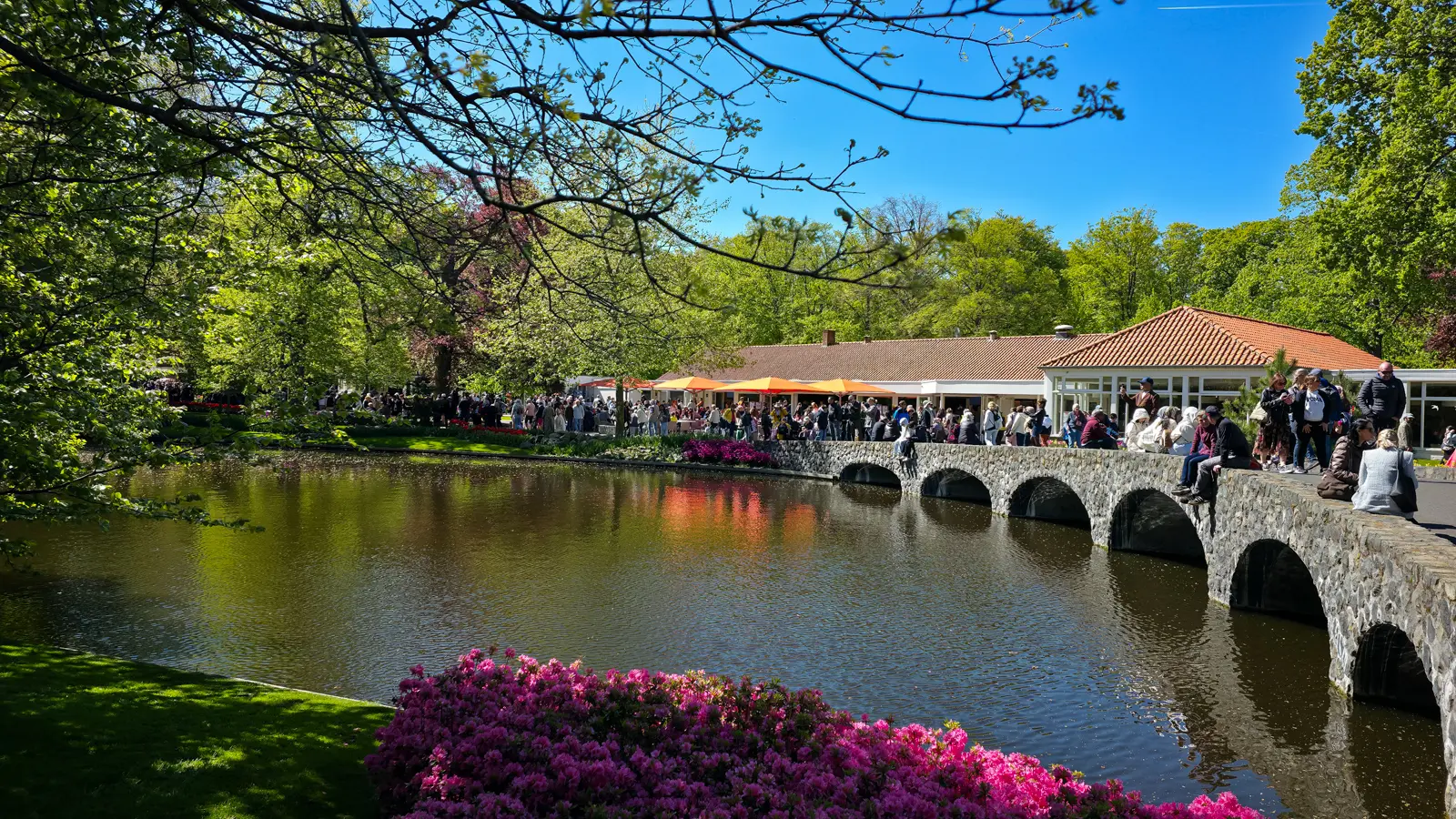 Stone arched bridge over the lake at Keukenhof, Lisse, with the Wilhelmina Pavilion and orange parasols beyond, pink azaleas in front