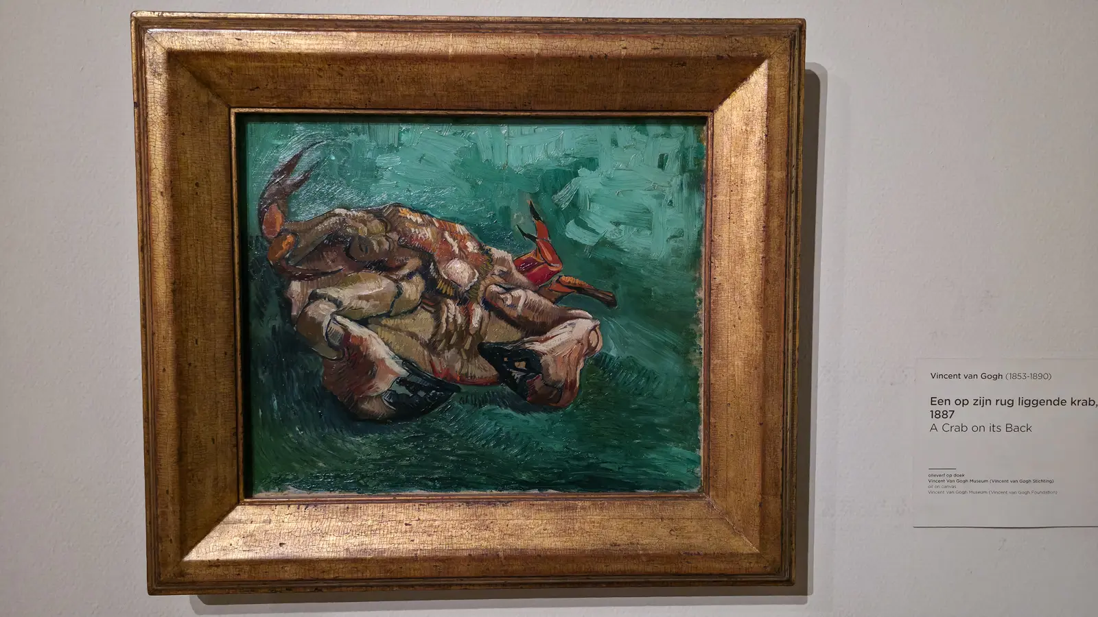 A Crab on its Back, 1887, by Vincent van Gogh, a single overturned crab against a green ground, at the Van Gogh Museum, Amsterdam