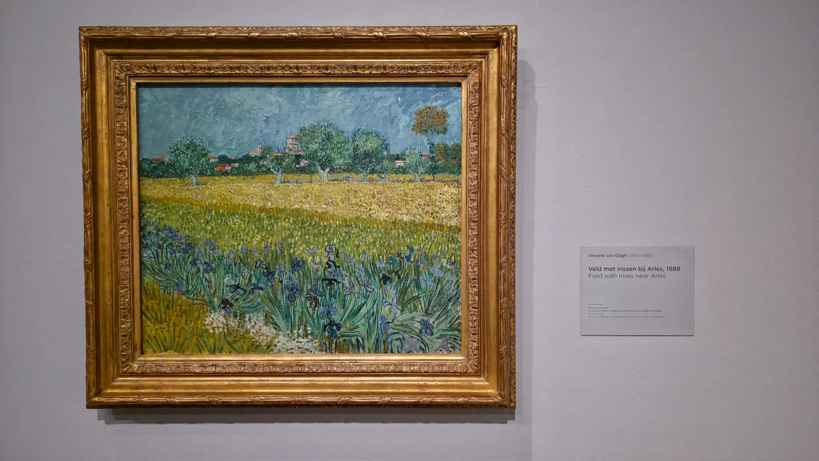 Van Gogh's Field with Irises near Arles (1888), blue irises in the foreground, a yellow field and the town of Arles behind, in a gilt frame, Van Gogh Museum