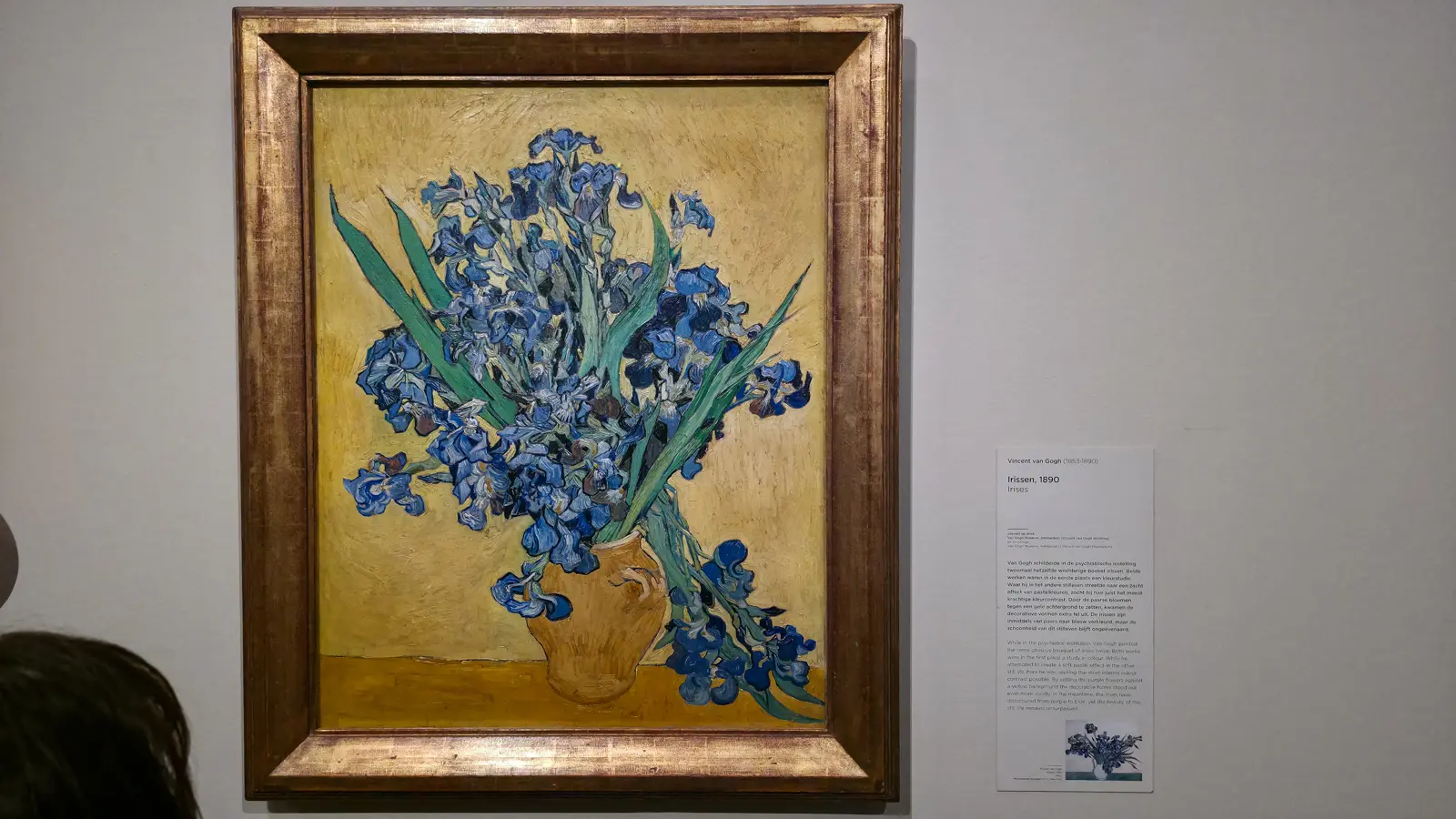 Irises, 1890, by Vincent van Gogh, a bunch of blue irises in an earthenware jug against a yellow ground, at the Van Gogh Museum, Amsterdam