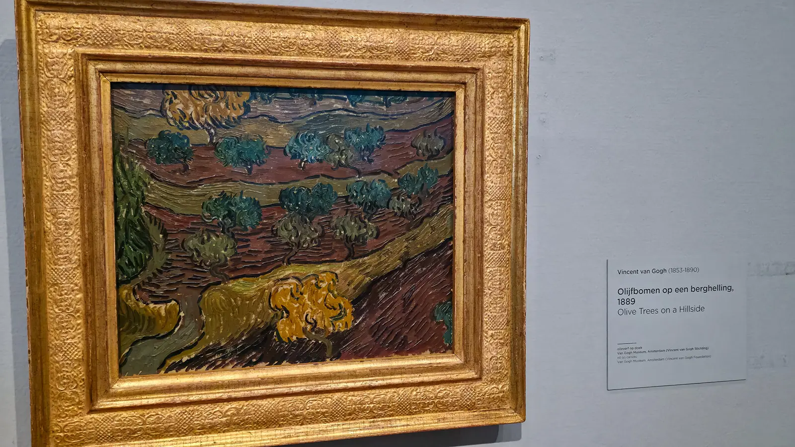 Van Gogh's Olive Trees on a Hillside (1889), rounded green and yellow trees with dark outlines on curving brown and ochre slopes, in a thick gilt frame, Van Gogh Museum