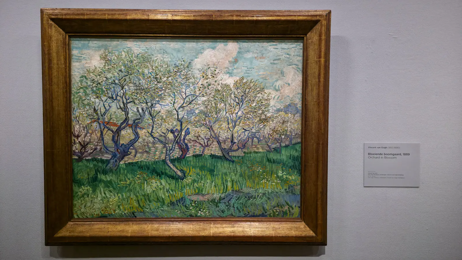 Van Gogh's Orchard in Blossom (1889), twisted blue tree trunks and white blossom above bright green grass, at the Van Gogh Museum